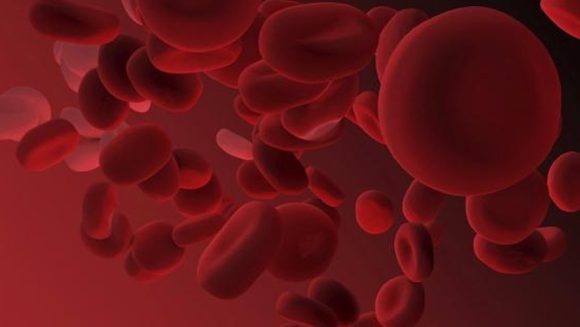 Θρομβοπενία: Τι είναι και πώς αντιμετωπίζεται